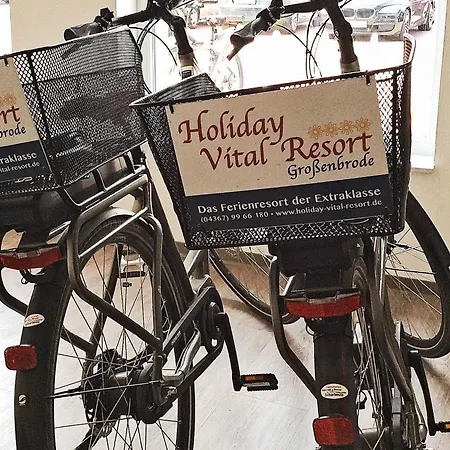 6 Person In Großenbrode